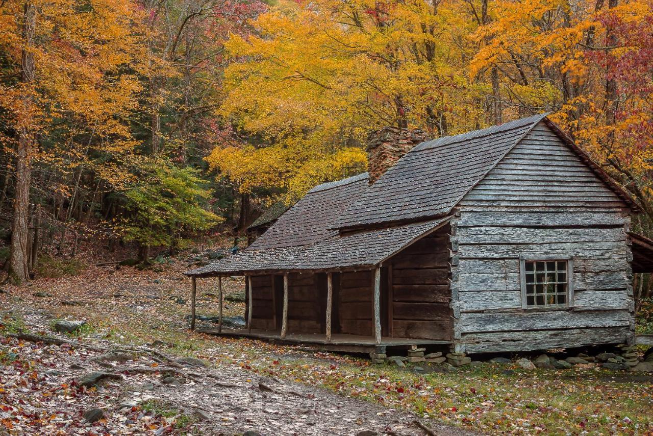 Love Shack Sevierville Eksteriør billede